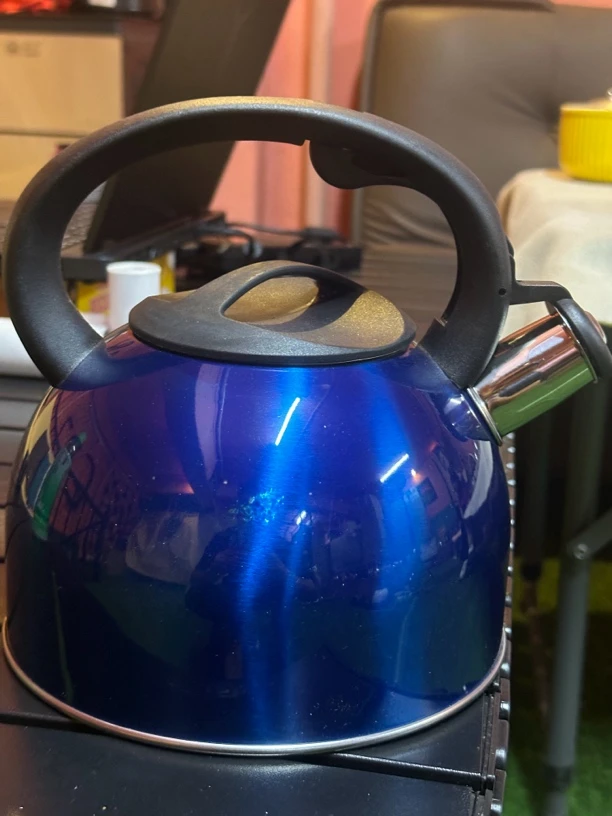 出口德国日本韩国海外高颜值家用奶茶店露营摆件煮茶烧开水2.5L