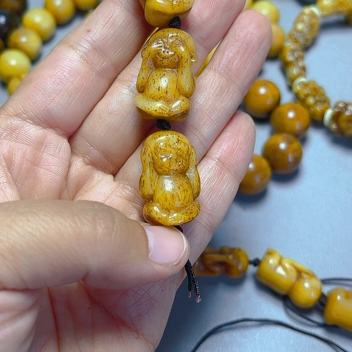 大果紫檀（缅甸花梨）