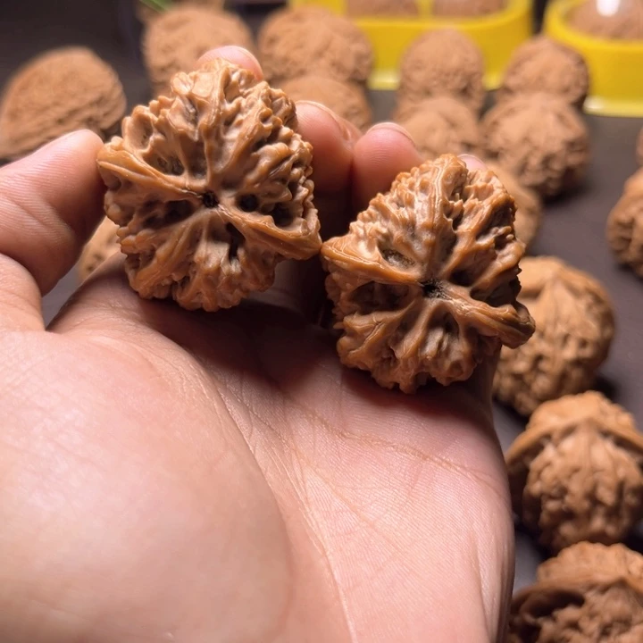 我*意野牛野牛野牛野牛37