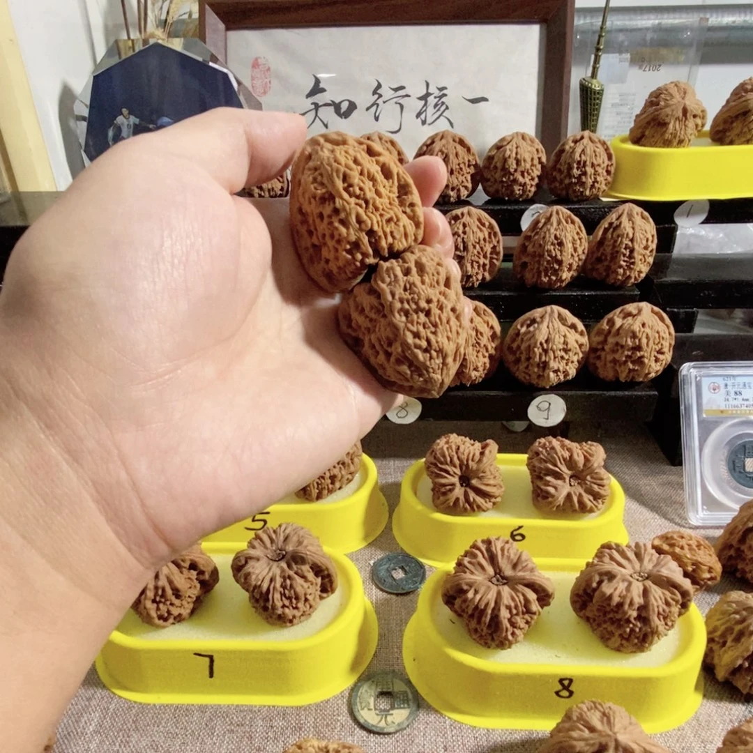木质类天蚕三角奥迪