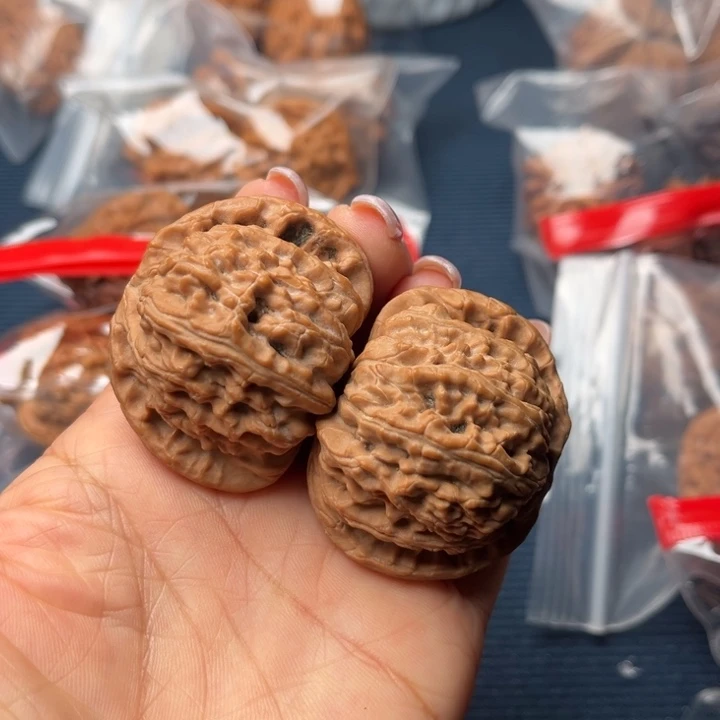 核桃44白狮子全品