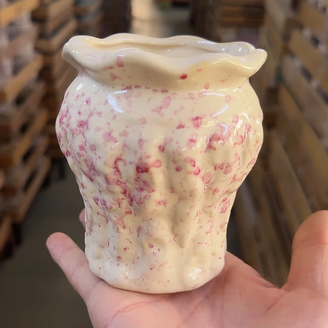 福利局绿植多肉盆［凑9元包邮24小时发］