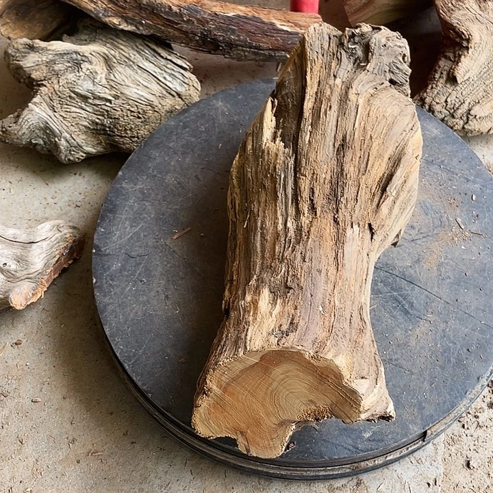 柏木正***递崖柏崖柏崖柏