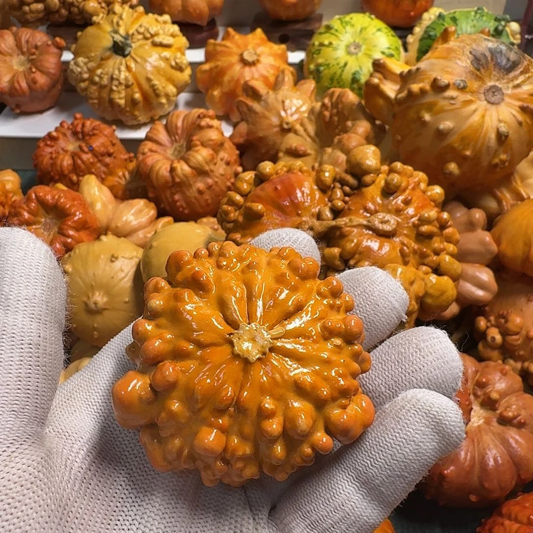 梦***墨西哥葫芦疙瘩葫芦