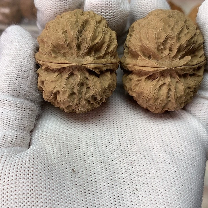 核桃41尺麒麟纹绣球1号