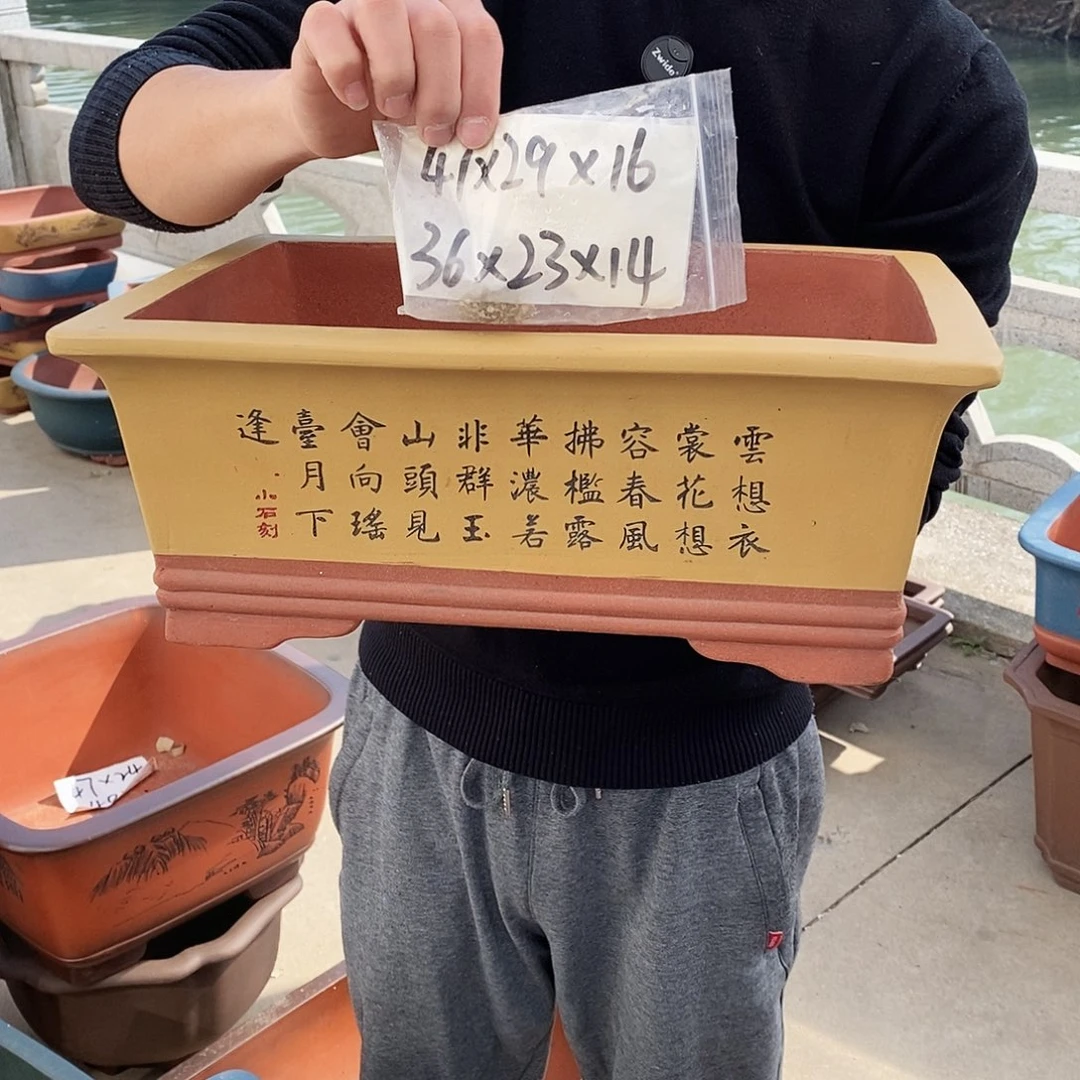 紫砂花盆紫砂花盆