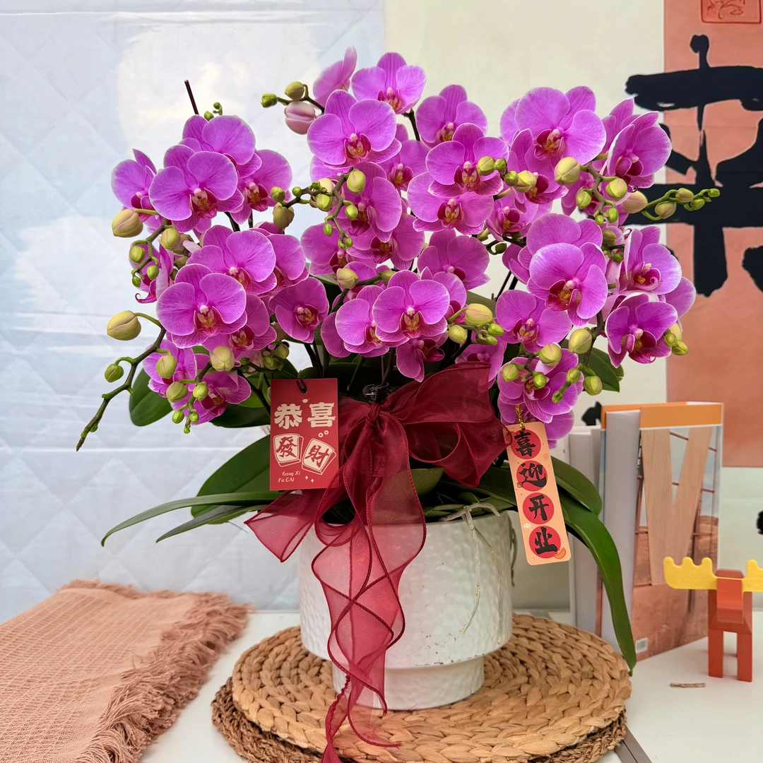 yx [路德曼]  蝴蝶兰 紫蝶花花 客厅办公室美观高颜值喜庆新款