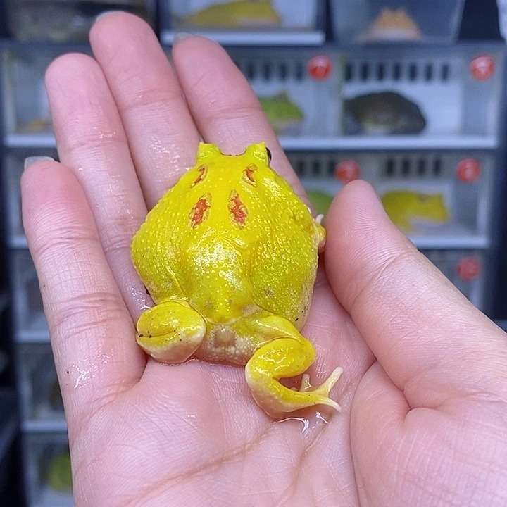 特价秒杀现货特价