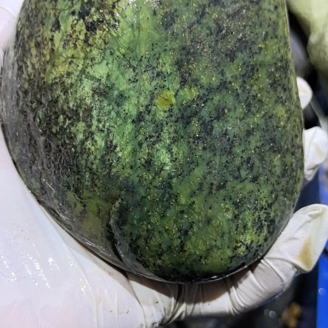 用***5藏玉药王石原石一个摆件