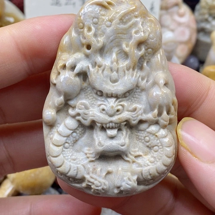 颈饰未镶嵌硅化珊瑚（珊瑚玉）