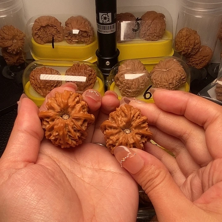 过***138高尖凹底  龙门