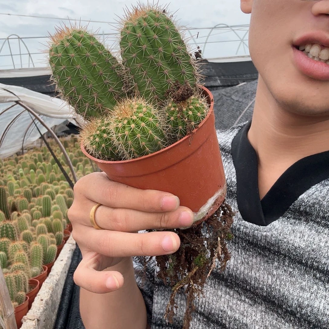 用***4无花朵苏乞儿哈哈哈哈哈哈哈哈