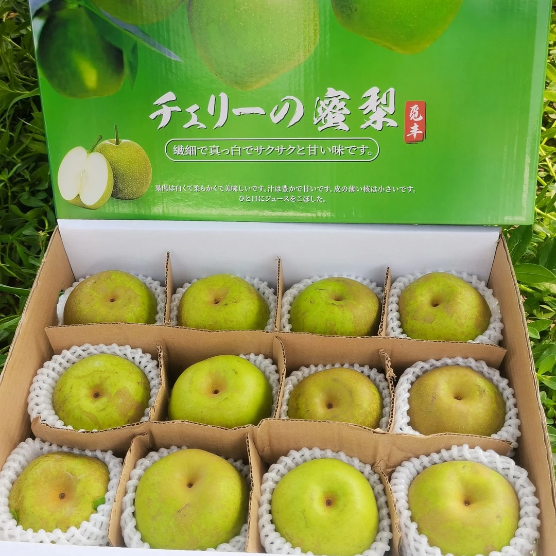 鑫聚丰【特价翠冠梨】果园新上市现采现发！夏季可口水果
