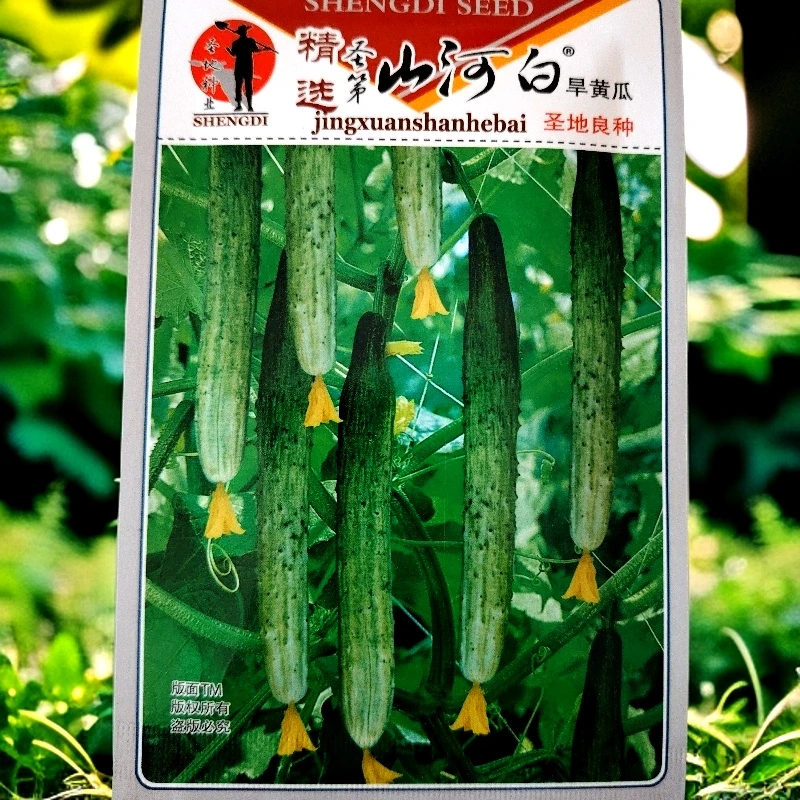 山河白黄瓜籽50粒左右赠沙瓤大黄柿子籽