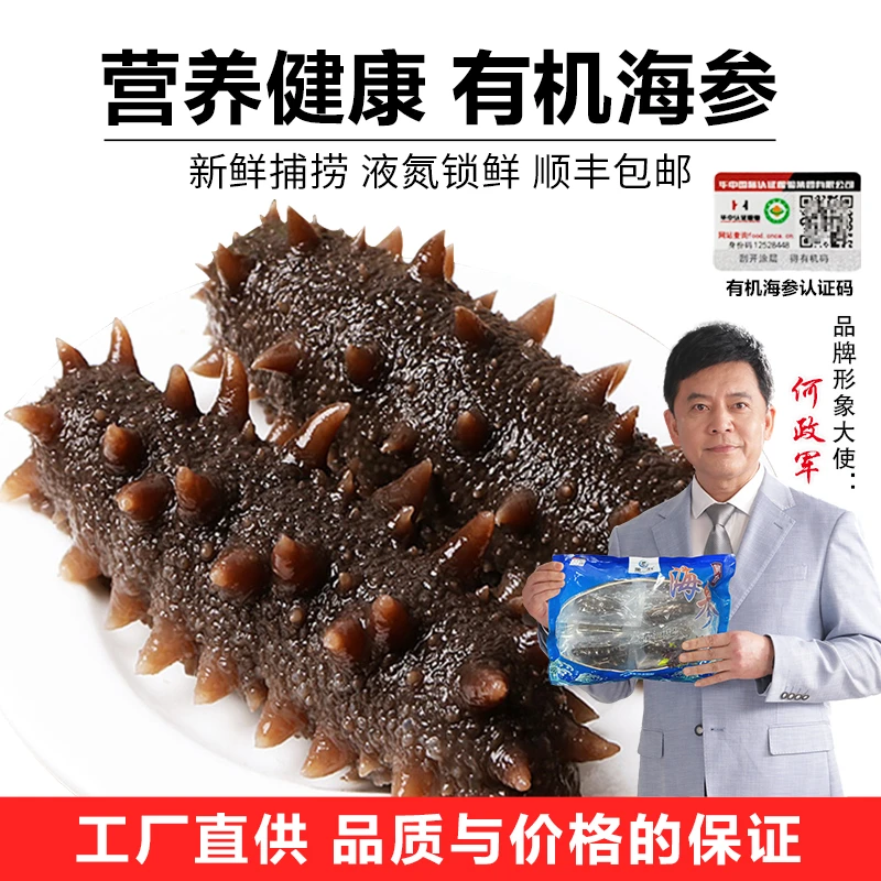 董二胖有机鲜食海参 肉质Q弹 口感劲道好吃 营养丰富 工厂直发