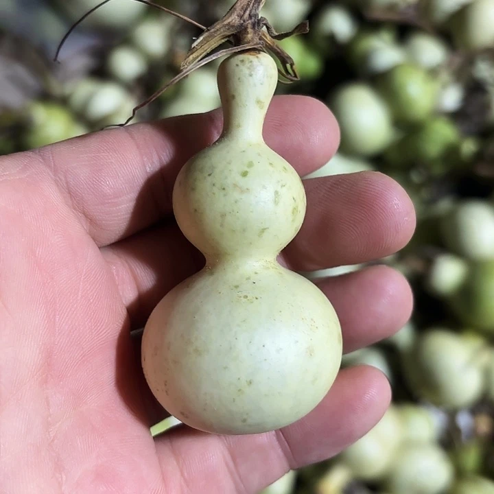 时***块大理石磁石葫芦葫芦葫芦葫芦