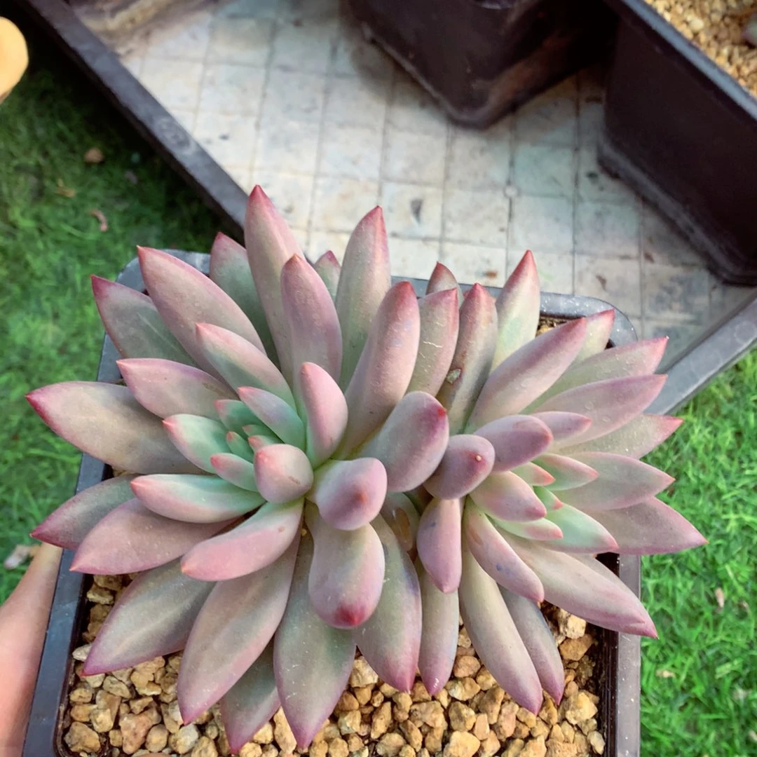 在在在在在在在在我现在