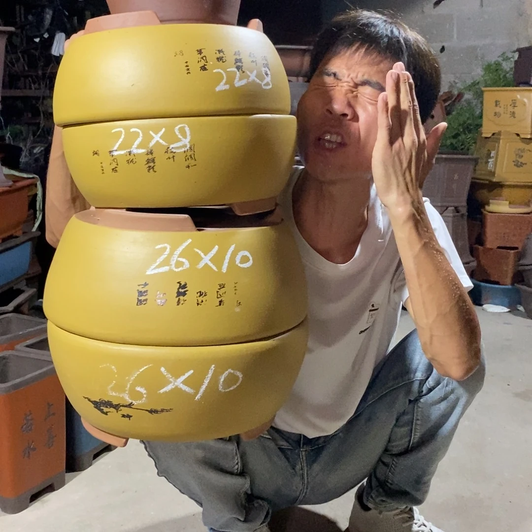 紫砂花盆紫砂紫砂紫砂紫砂