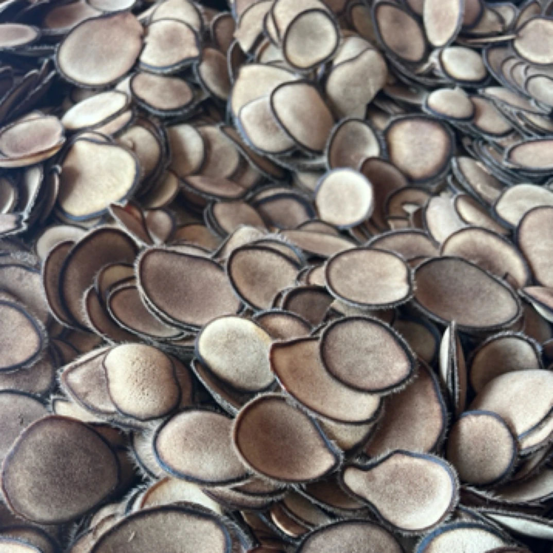 精选 鹿茸 白粉片 泡酒煲汤