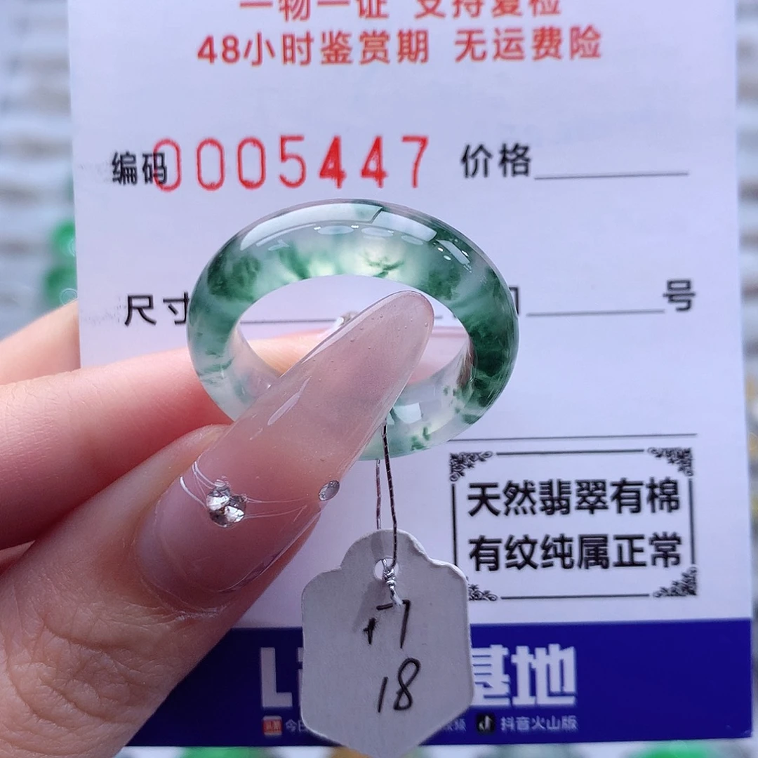 翡翠未镶嵌戒指天然