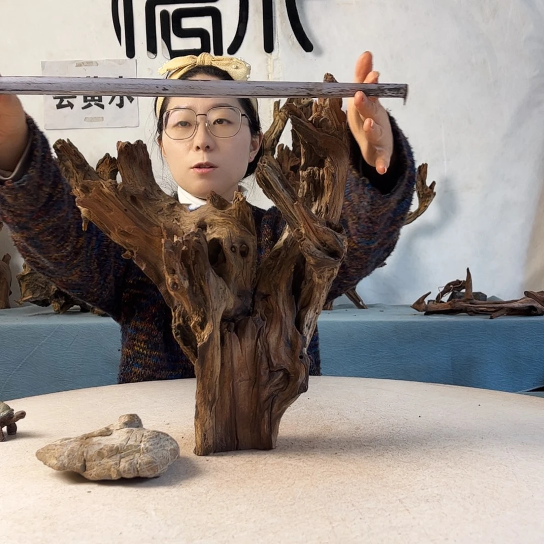 沉木造景寄居蟹，