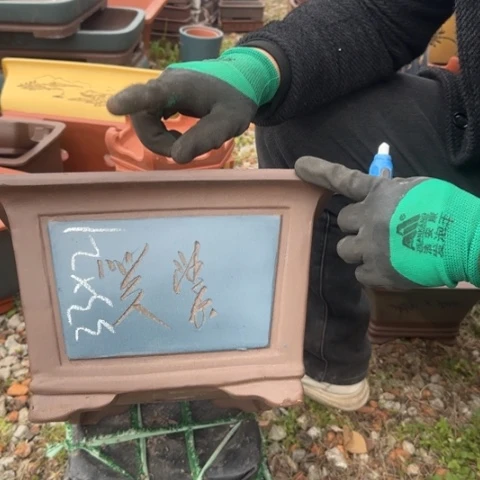 紫砂花盆紫砂花盆盆景盆栽