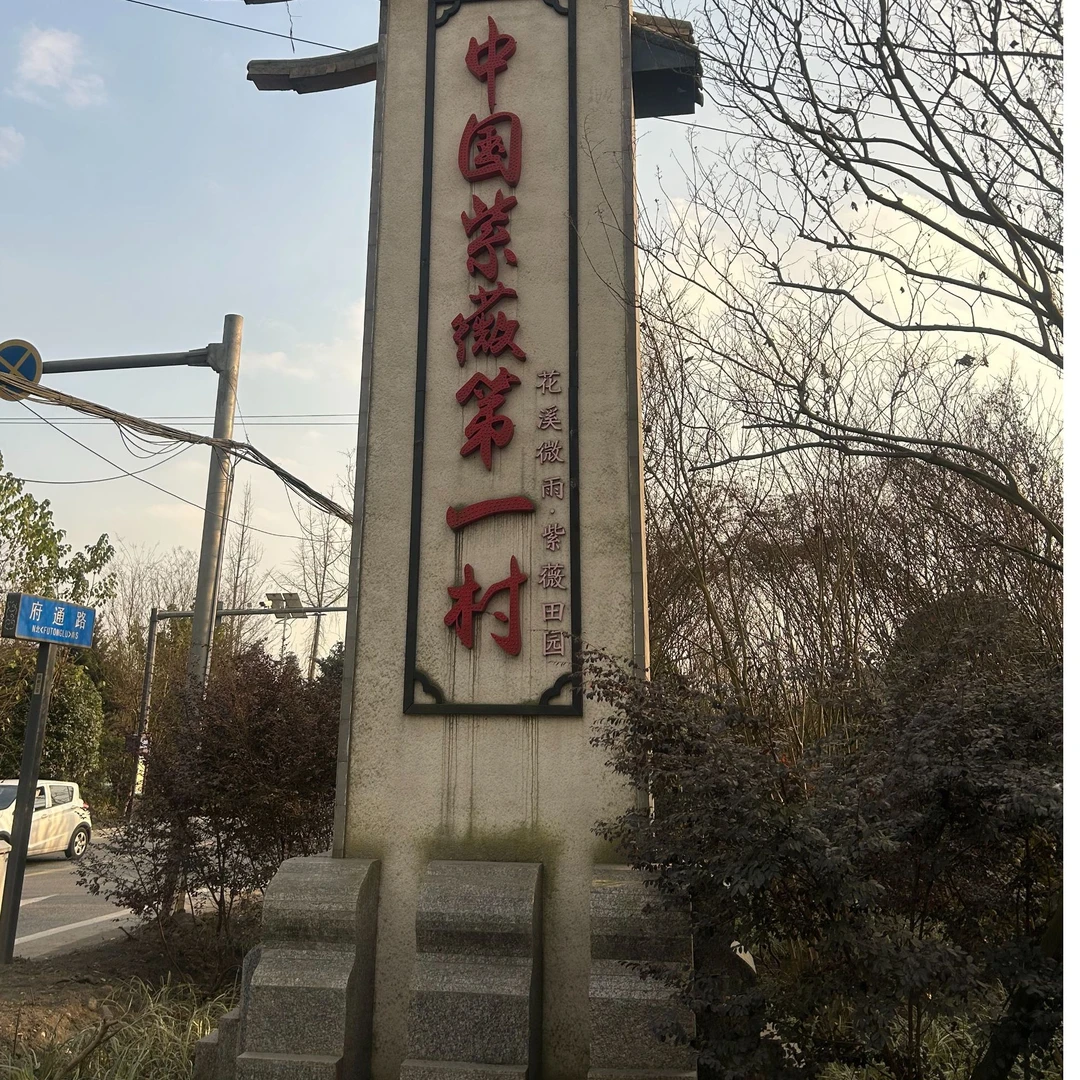 紫薇川红老桩南北可种地栽盆栽景观庭院绿植花卉百日红