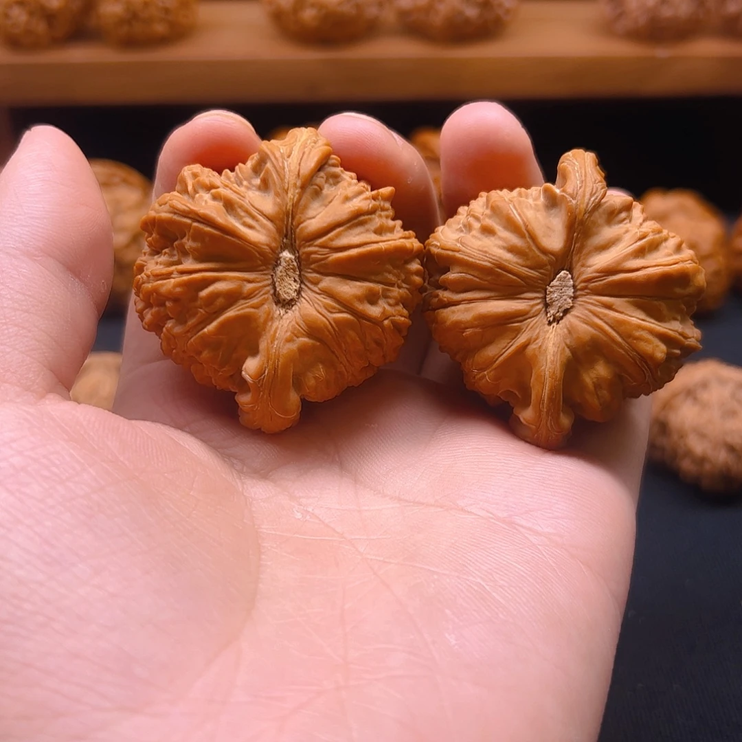 核桃把件白狮子46全品卡姿兰