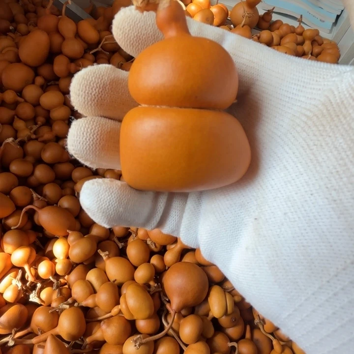 周*_默默的一把钱，带着葫芦周末的一把