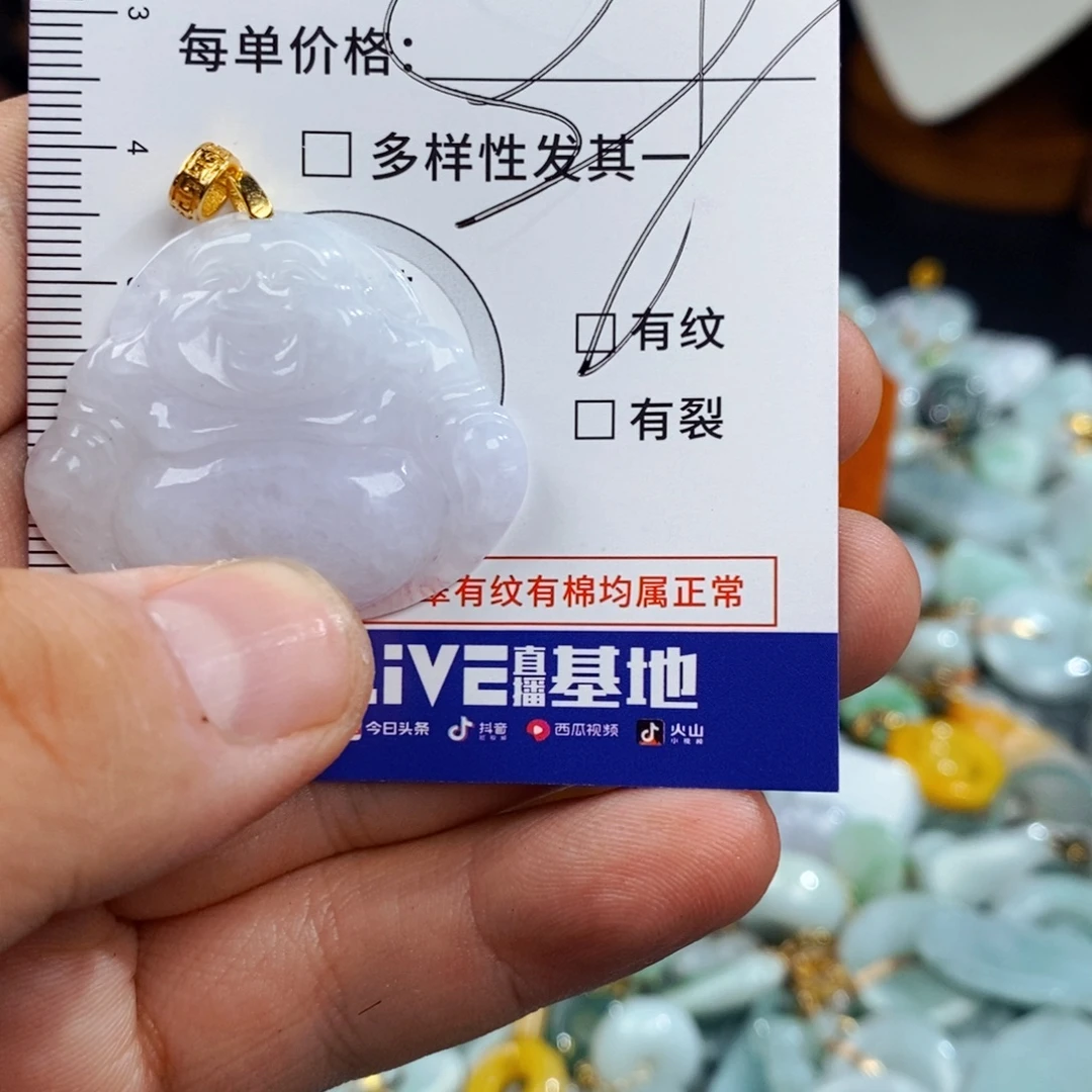 翡翠未镶嵌颈饰879