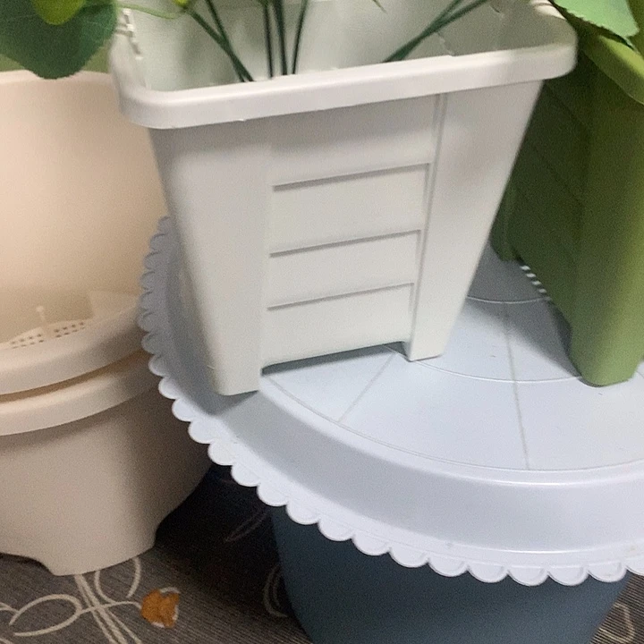 16白方无托微瑕6个