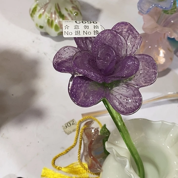 夜光花高35厘米左右