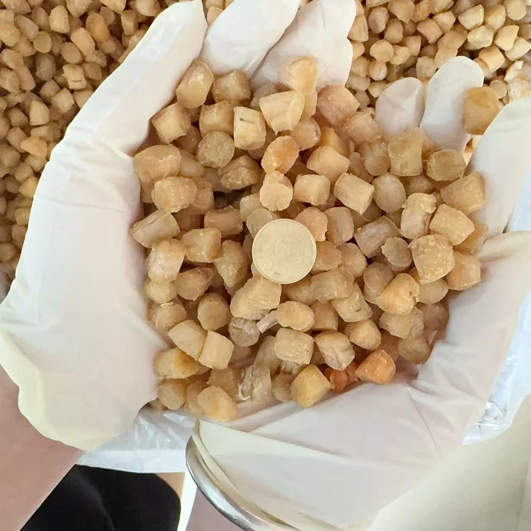 大干贝 优质海产品大连瑶柱500g