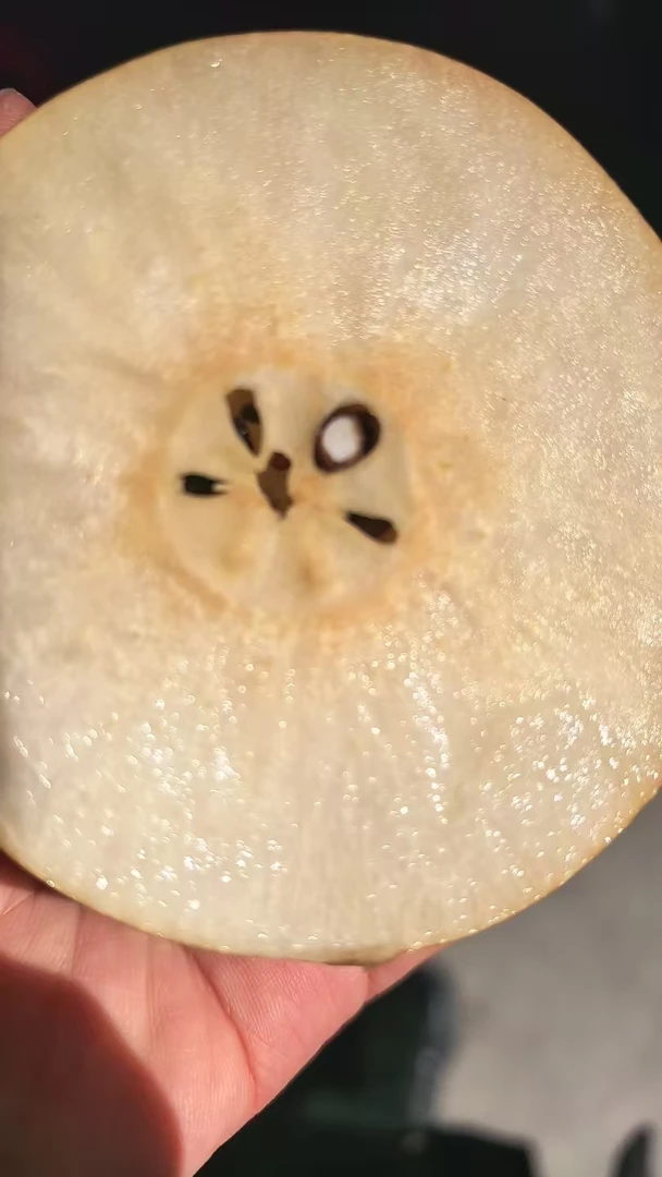 新鲜应季秋月梨皮薄多汁脆甜细嫩化渣的水果