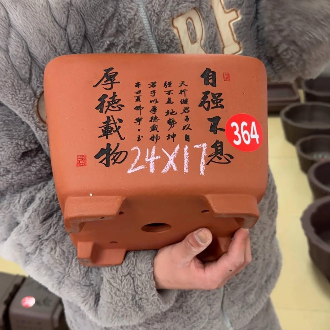 紫砂花盆呜呜呜呜