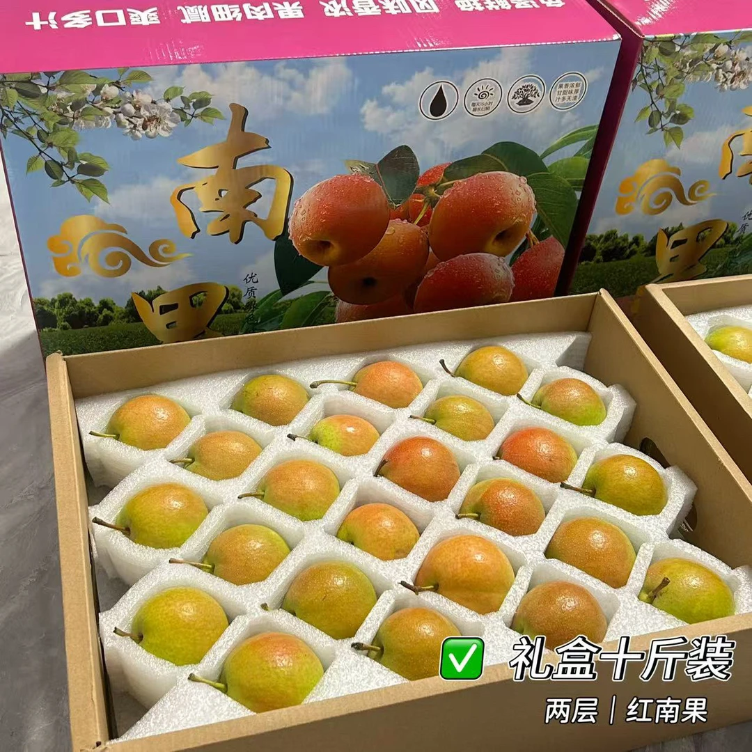 【礼盒10斤装】正宗鞍山特产南果梨，新鲜当季，酒香浓郁，香甜可口！