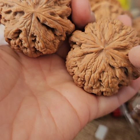 文玩核桃吊坠48粗筋