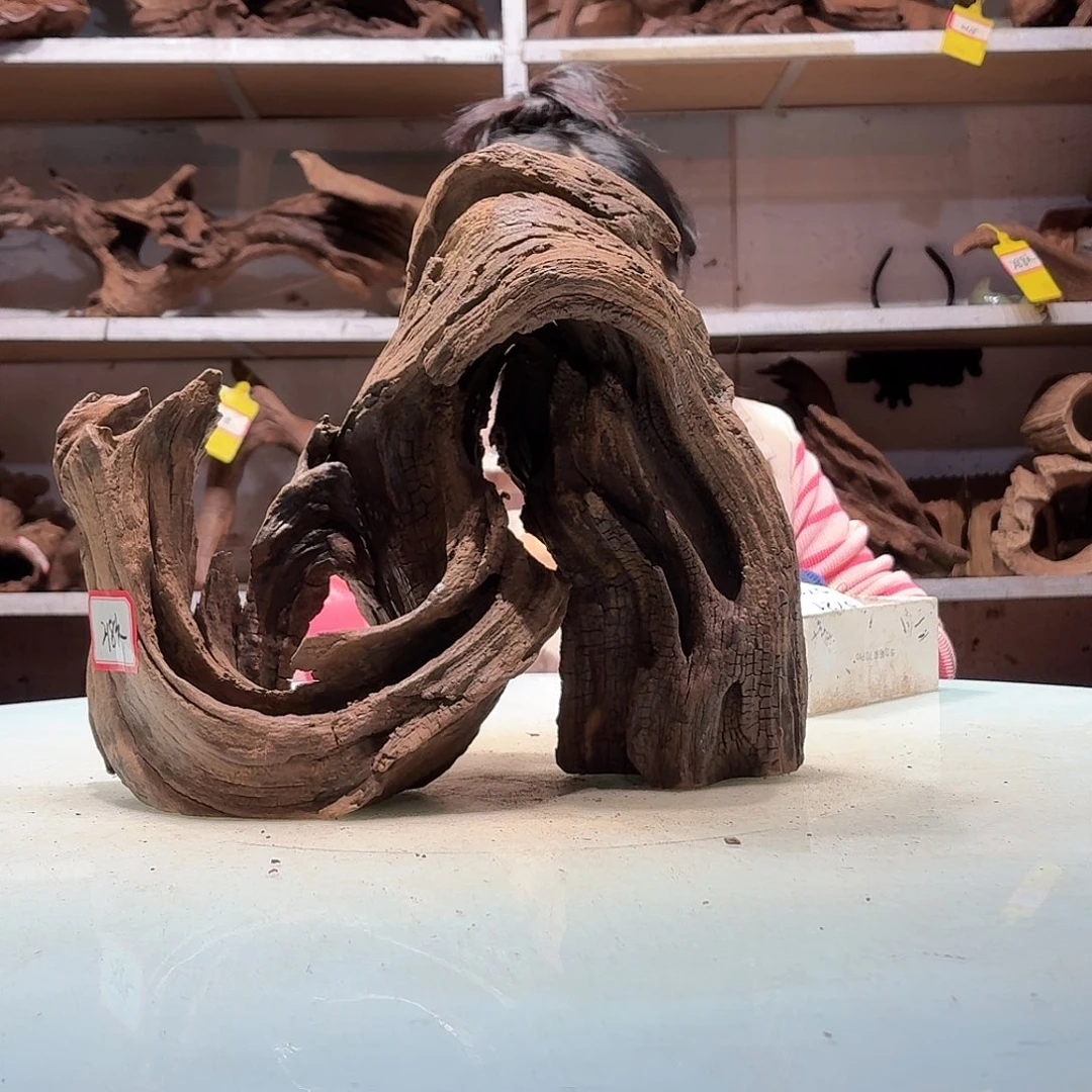 倍褚沉木不包损必褪色Q****G5711