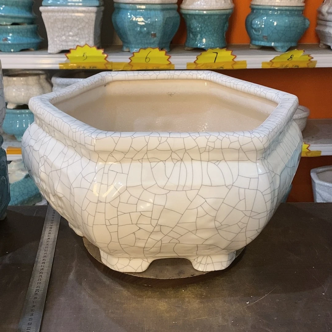 清**雨花盆花盆里的花