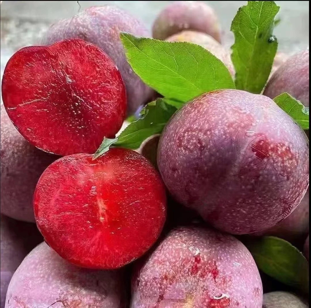 广西三华李新鲜红肉李子酸脆爆汁当季水果