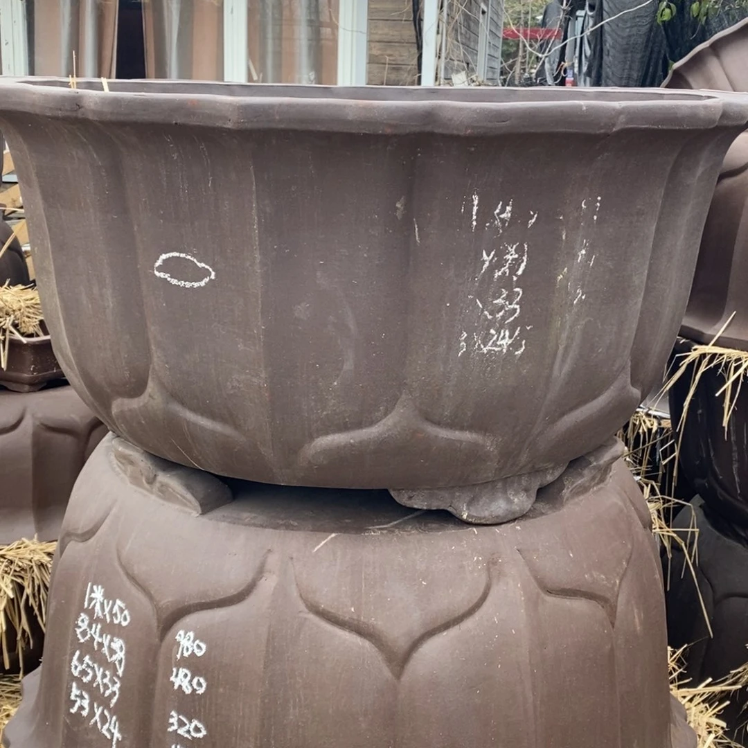 紫砂1米/50大莲花一只