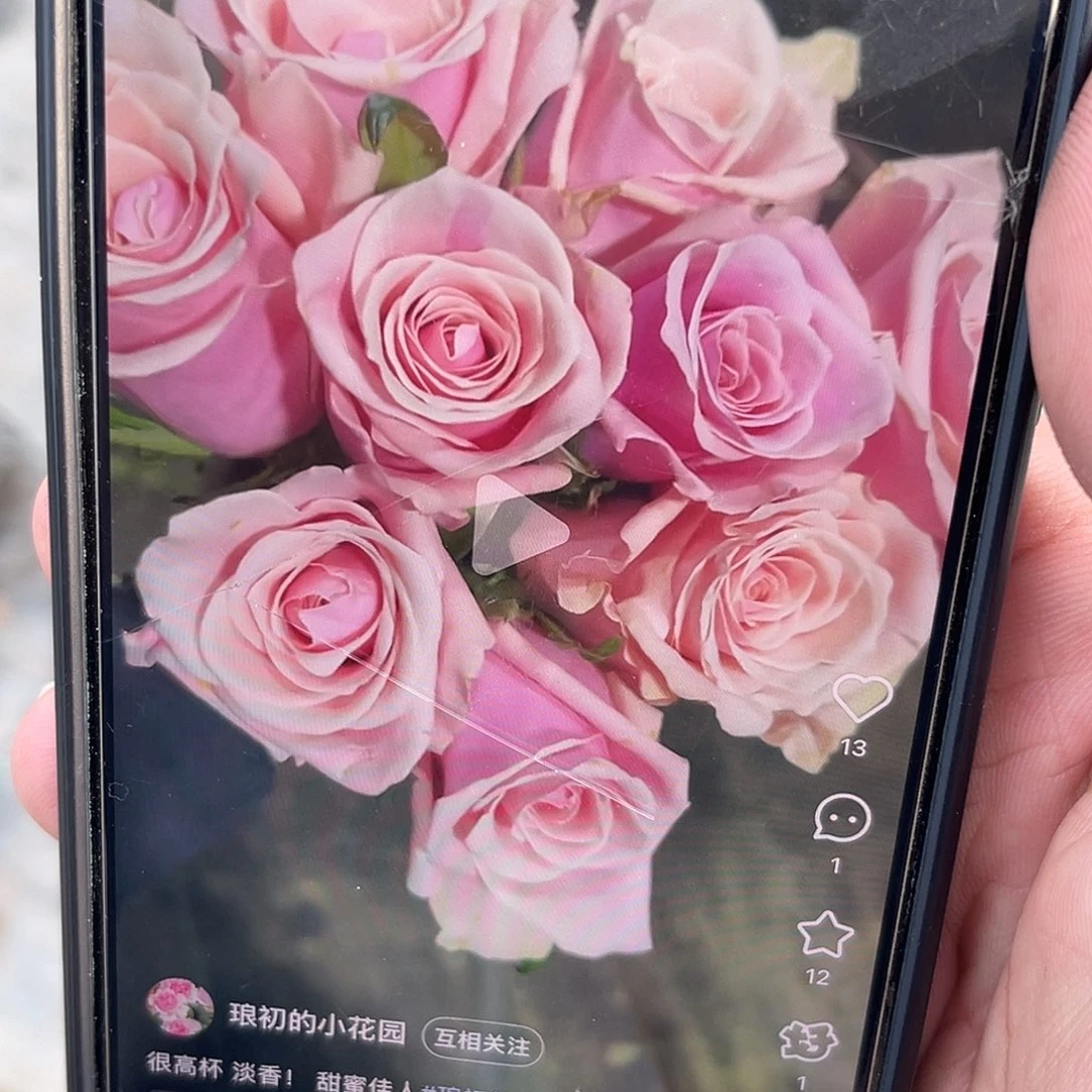 无花朵———甜蜜佳人 福利款
