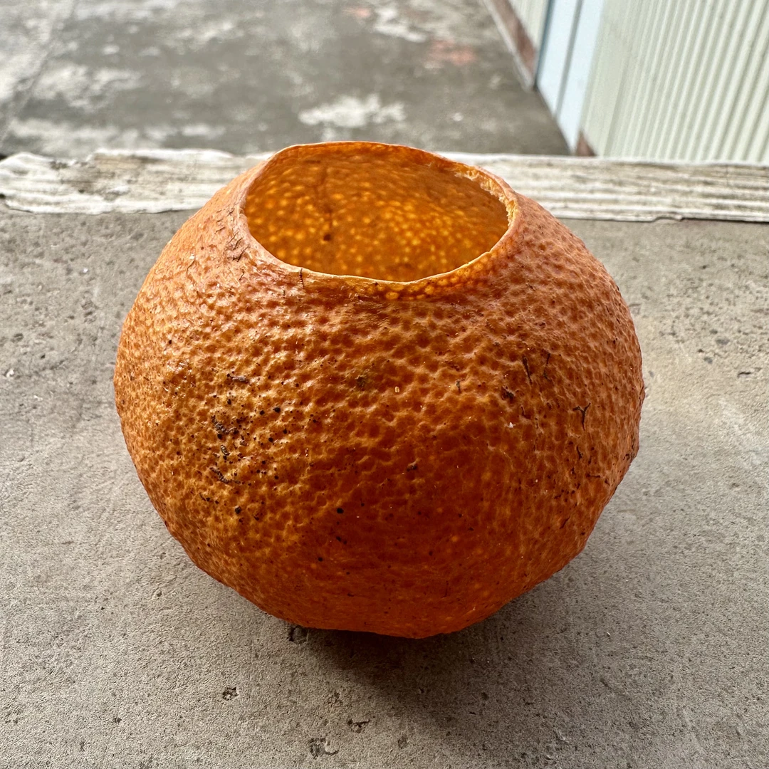 新会陈皮梅江2024年冬后大红果壳圈枝干皮自己装茶