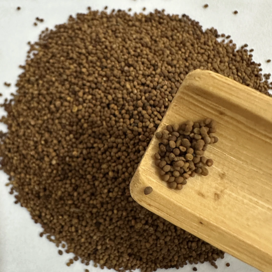 菟丝子 内蒙菟丝子 水洗货 干净 无硫