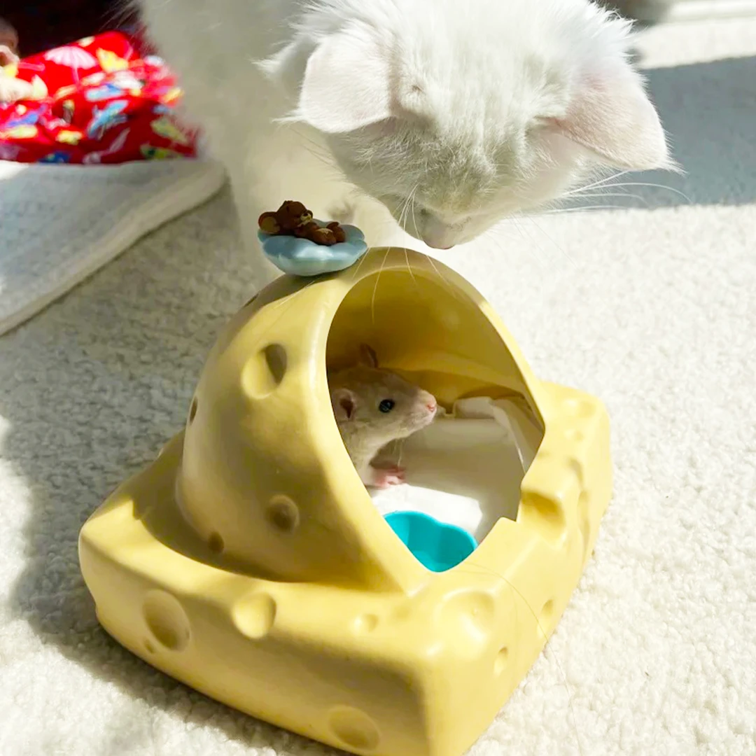 仓鼠躲避屋陶瓷窝隆温冰屋金丝熊睡窝夏天冰屋荷兰猪小睡房豚鼠窝