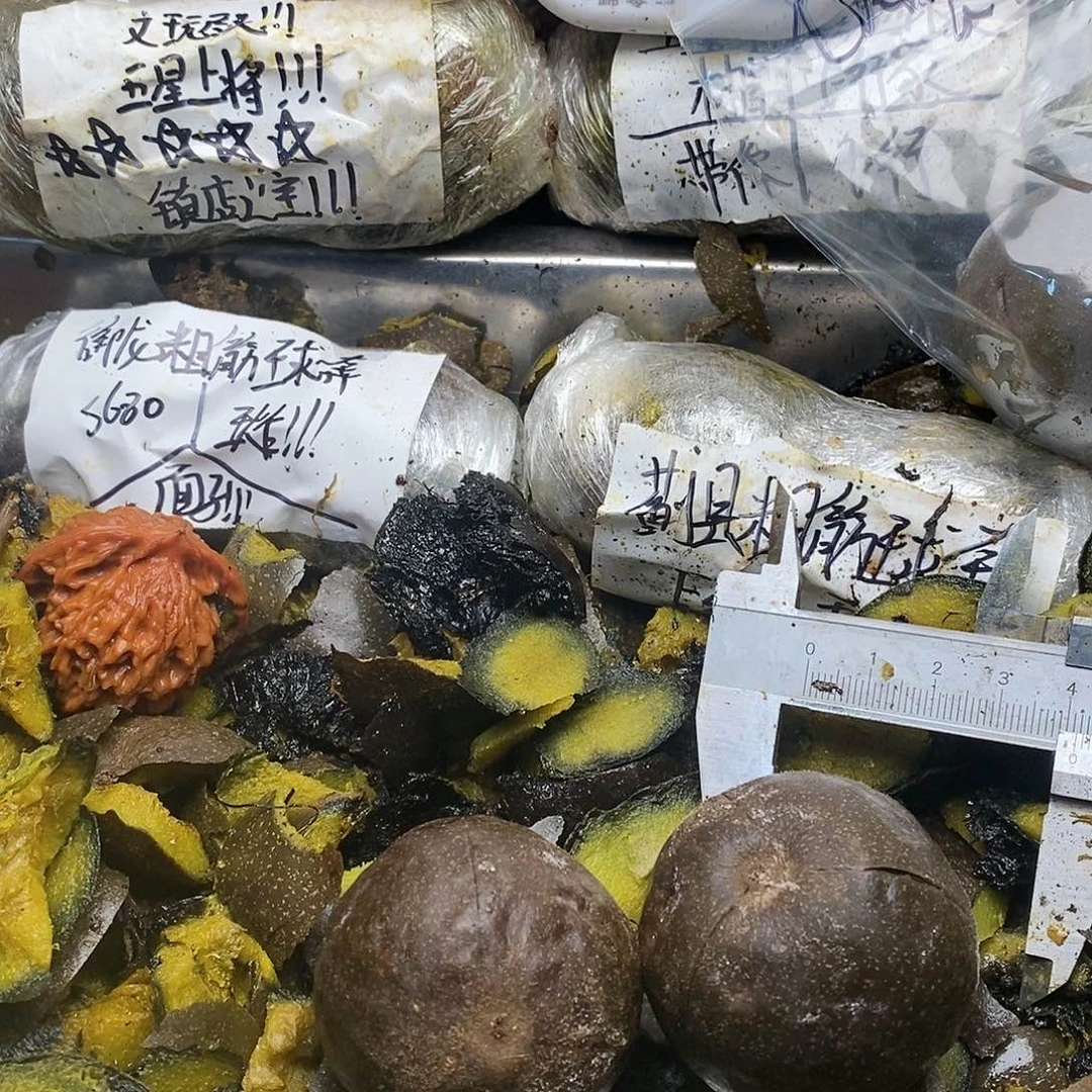 王***亮古巨基你你就斤斤计较文玩