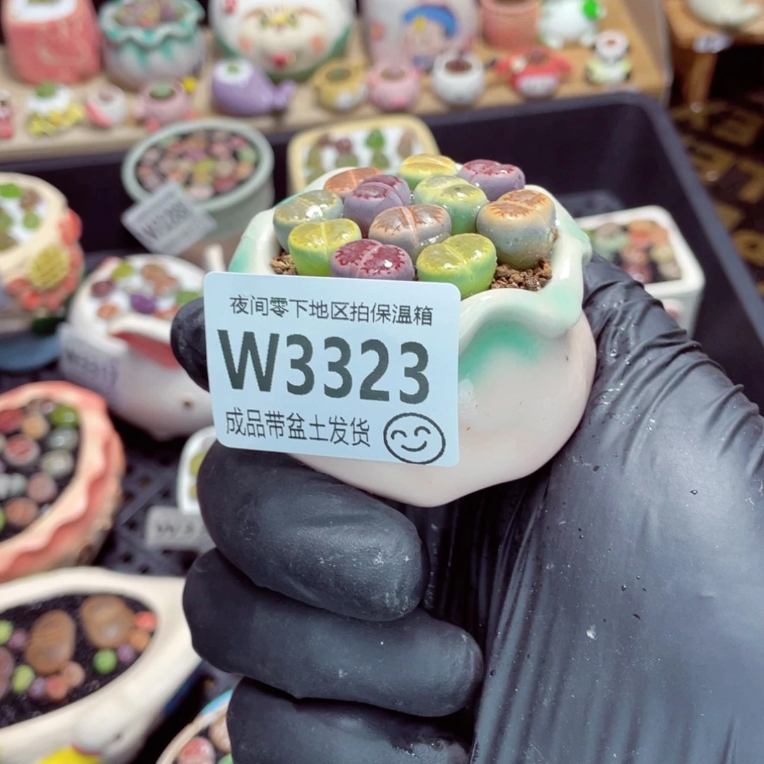 夜间零下地区拍保温箱w3323