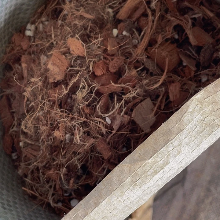 架接法师专用养护土01号