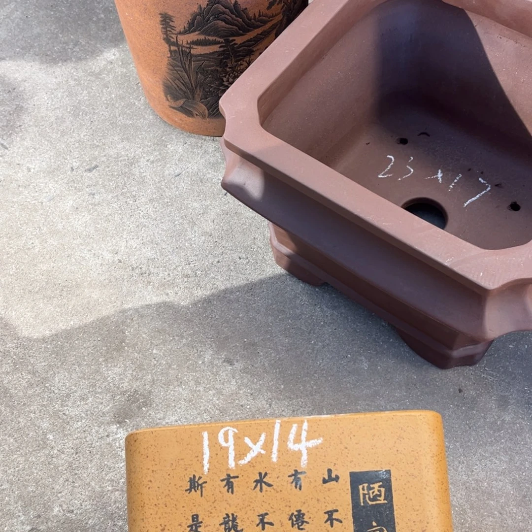 花盆紫砂盆景艺术