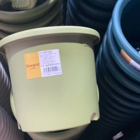 树脂20.3口果绿无托3个